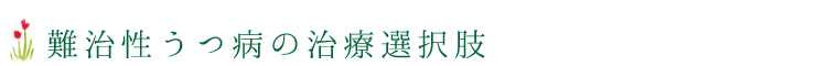 難治性うつ病の治療選択肢